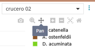 Herramienta gráfico pan